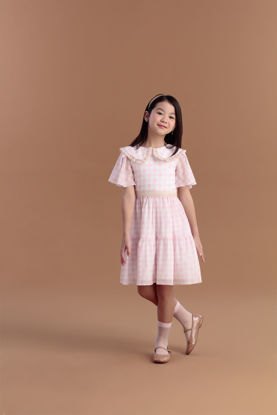 Imagem de Vestido Inverno Roses Classic